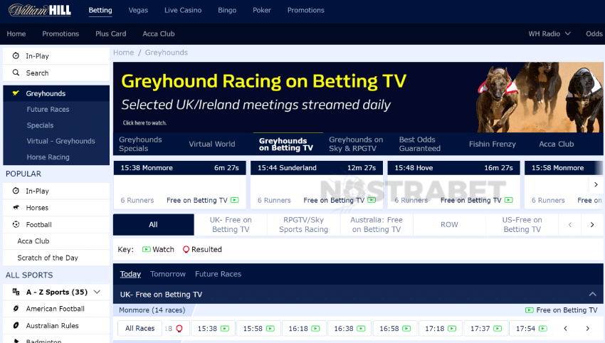 william hill greyhounds betting tv